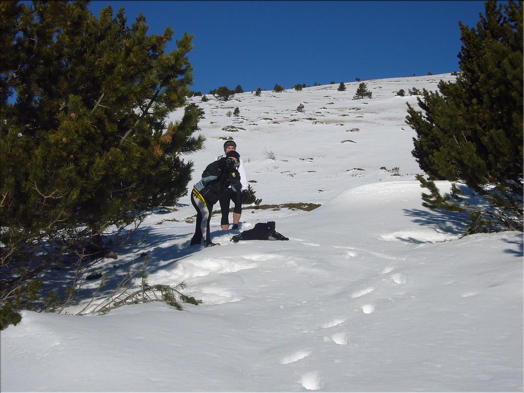 Ventoux (38)