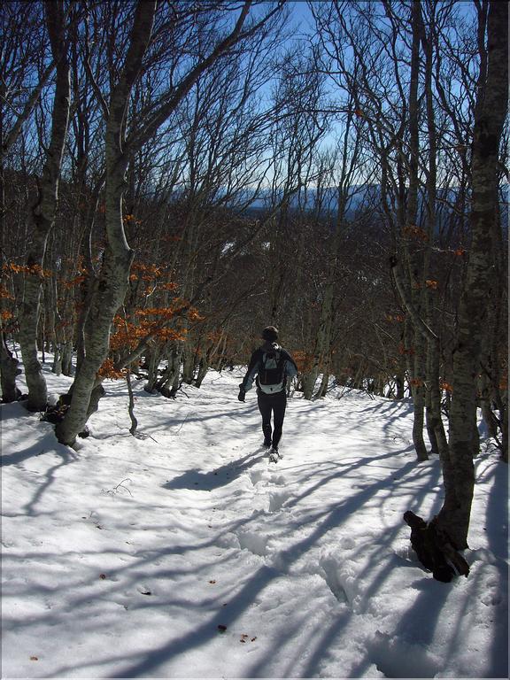 Ventoux (39)