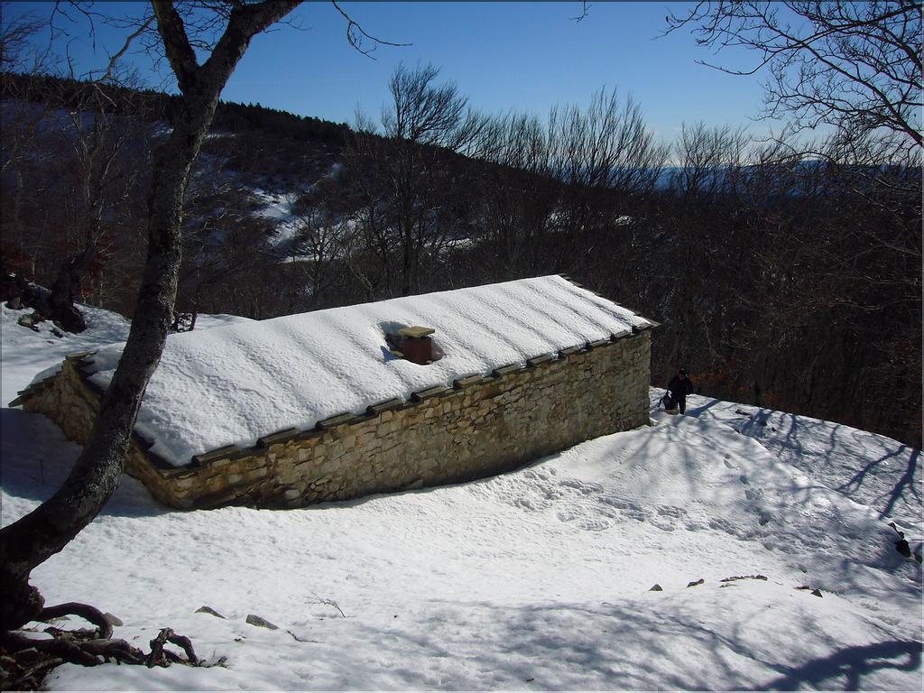 Ventoux (41)