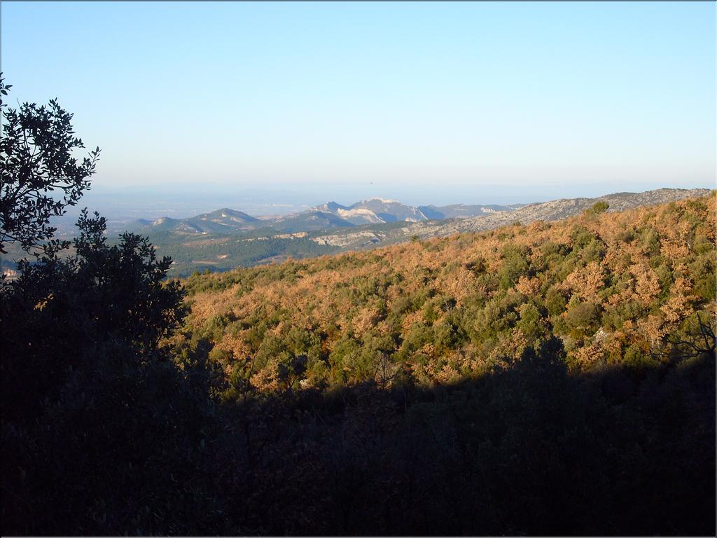 Ventoux(0)